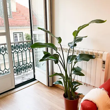 Apartament Stunning Luxury In Chiado 1br Lizbona