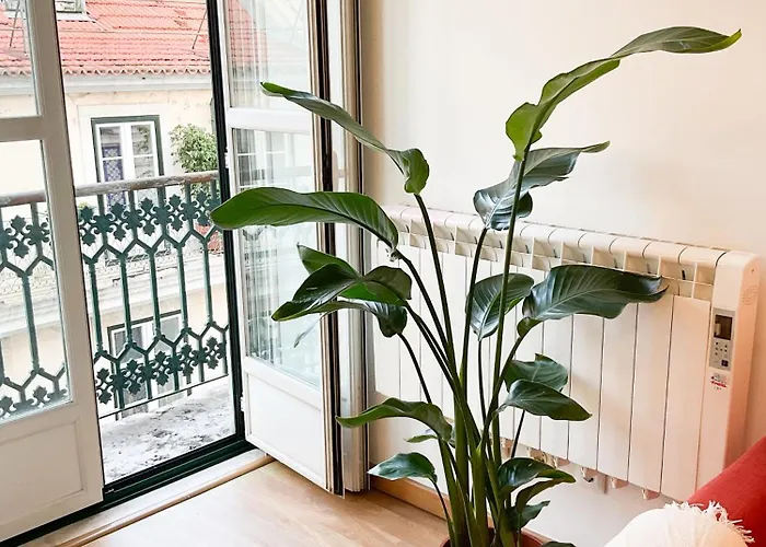 Apartment Stunning Luxury In Chiado 1br Lisbon